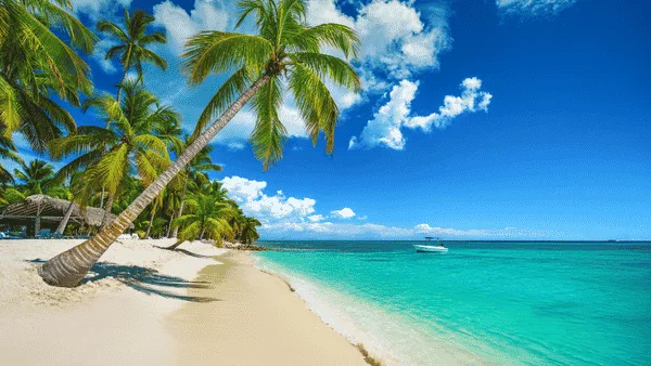 Fotografía del viaje Caribe All Inclusive Punta Cana