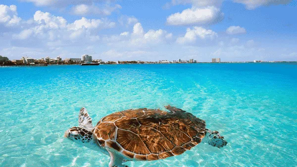 Fotografía del viaje 10 Cancún - Enero a Marzo 2027