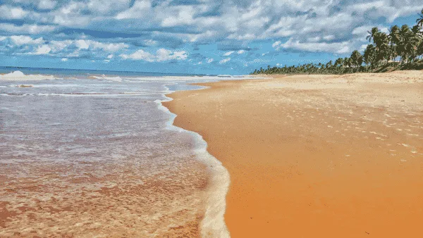 Fotografía del viaje 8 Praia do Forte - 26 de Diciembre