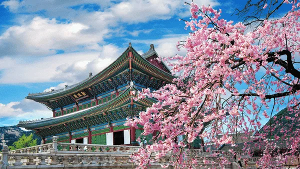 Fotografía del viaje Corea & Japón Momiji - 04 de Noviembre 2026