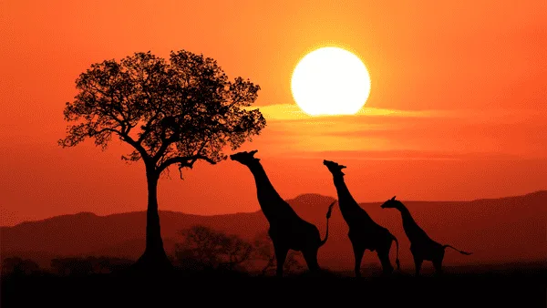 Fotografía del viaje Sudáfrica de Locura