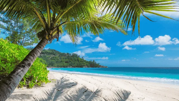 Fotografía del viaje Jamaica