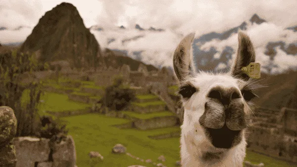 Fotografía del viaje Maravillas de Perú - 08 de Mayo 2027